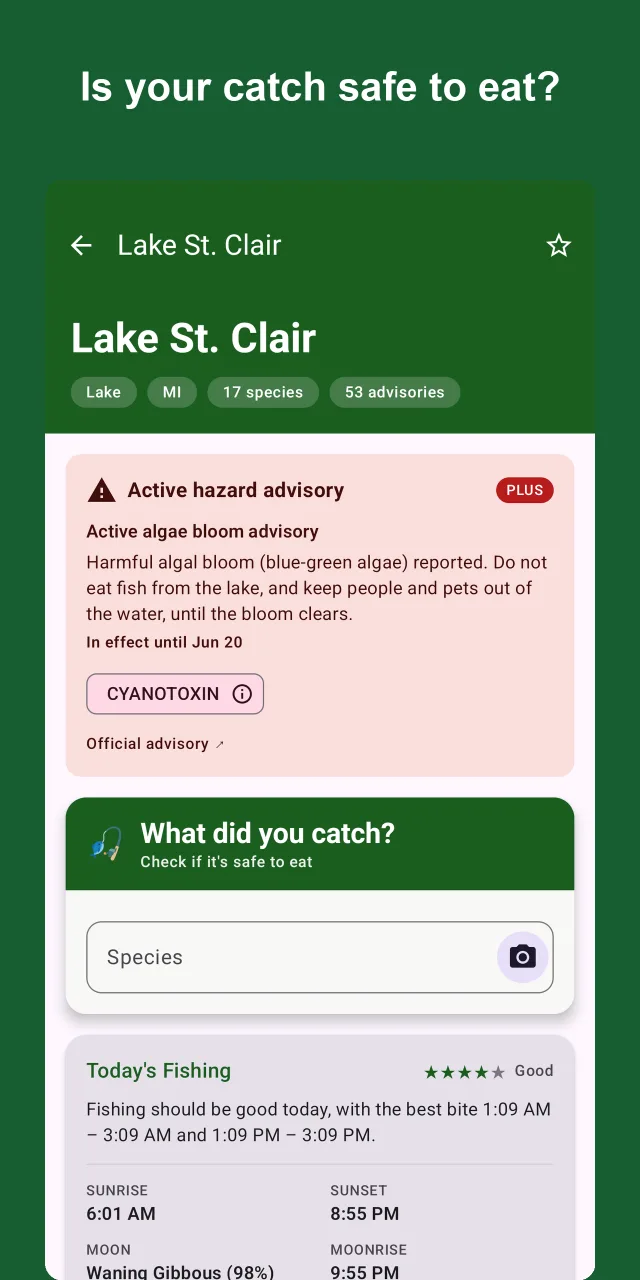 Acute hazard alert banner